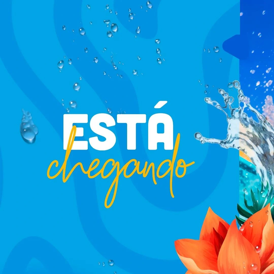 Post do Instagram com a frase 